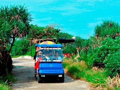 Người dân Lý Sơn lái xe điện bốn bánh đưa du khách tham quan. Ảnh: Phạm Linh.