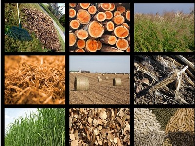 Các phụ phẩm nông nghiệp sẽ là nguyên liệu đầu vào của công nghệ xử lý rác. 