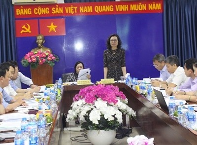 Tổng Giám đốc BHXH Việt Nam Nguyễn Thị Minh phát biểu tại cuộc họp.