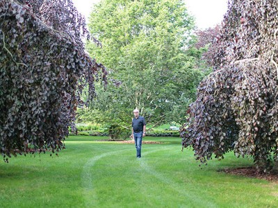 Ông Louis Meisel được bao quanh bởi bộ sưu tập cây hiếm tại nhà ông ở Sagaponack, Long Island. (Nguồn: Eric Striffler).
