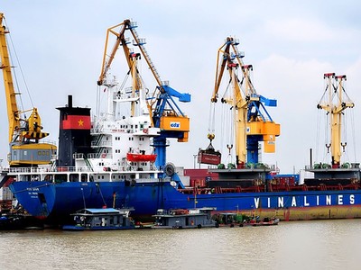 Năm 2017, tổng doanh thu của Vinalines đạt gần 16.000 tỷ đồng, tăng gần 15% so với kế hoạch năm. Lợi nhuận hợp nhất của Công ty mẹ đạt 515 tỷ đồng cao nhất trong nhiều năm trở lại đây.