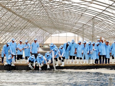 Khu phức hợp Sản xuất tôm chất lượng cao tại Bạc Liêu.