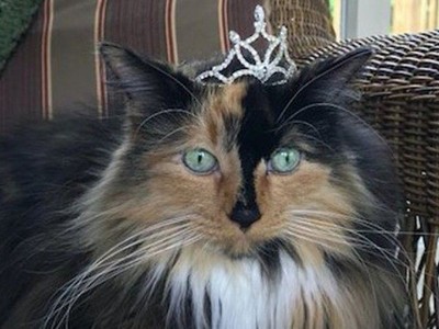 Tân thị trưởng Omena Sweet Tart McKee (Ảnh: (Omena Historical Society).