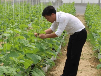 Thanh Hóa thu hút 755 doanh nghiệp đầu tư vào lĩnh vực nông nghiệp