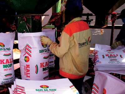 Cổ phiếu phân bón chờ cơ hội phục hồi