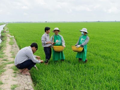 Bước ngoặt chiến lược của Lộc Trời