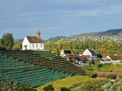 Một góc làng Rheinau tại Thụy Sỹ. Ảnh: AFP