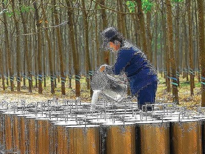 DPR: 8 tháng ước đạt 210,6 tỷ đồng lãi trước thuế