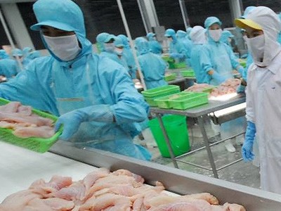 Tôm, cá tra Việt Nam đón cơ hội từ thị trường Mỹ
