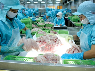 Sản phẩm tôm, cá tra của Việt Nam được hưởng lợi từ diễn biến của cuộc chiến thương mại Mỹ - Trung.