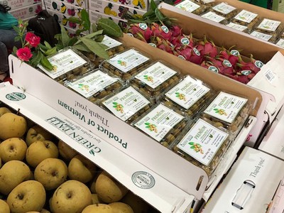 Xuất khẩu rau quả tháng 9/2018 tăng hơn 17% - Ảnh: VGP/Đỗ Hương.