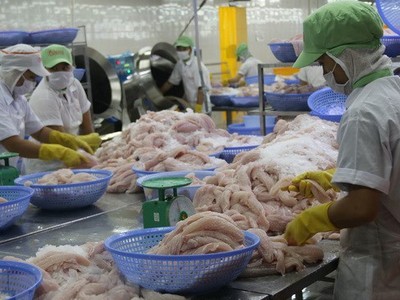 Chế biến cá tra xuất khẩu. (Ảnh: Minh Trí/TTXVN).