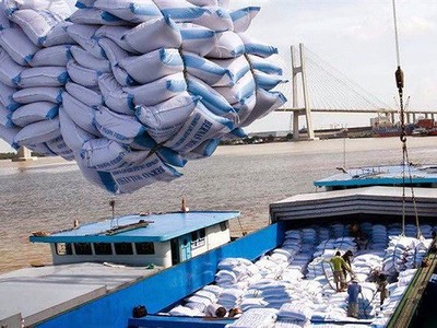 Xúc tiến xuất khẩu gạo cho doanh nghiệp Việt Nam 