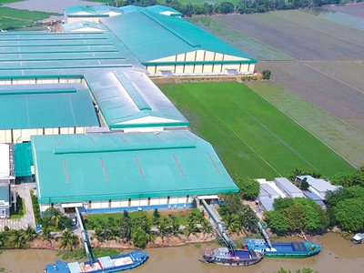 Đổi chiến lược phát triển, Lộc Trời chuyển mình mạnh mẽ