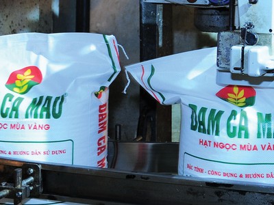 Phân bón “hàng hiệu” dính đòn chí tử, hàng dởm có đất tung hoành