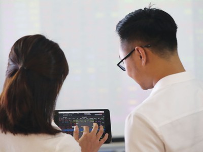 VN-Index rơi, quỹ đầu tư chơi vơi hiệu quả