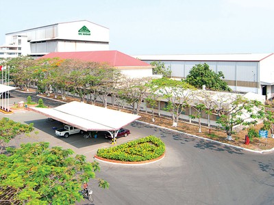 SBT dẫn đầu ngành đường Việt Nam với thị phần nội địa xấp xỉ 40%, có 9 nhà máy luyện đường từ đường thô và mía.