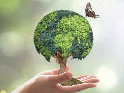 Chứng khoán Việt đã… xanh chưa?