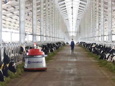 Vinamilk minh bạch phát triển bền vững!
