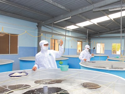 Xoay chiến lược để gia tăng doanh số