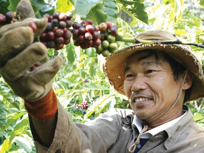 Cùng đồng hành với doanh nghiệp trong thực hiện tái canh cây cà phê đã có sự hỗ trợ từ Agribank.