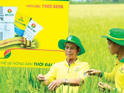 Đạm Cà Mau nỗ lực vì sự phát triển bền vững của nông nghiệp Việt