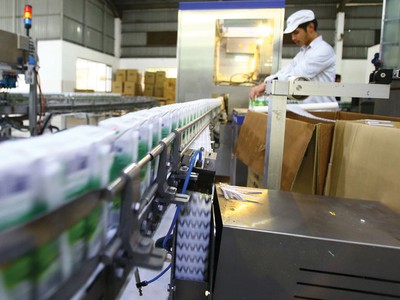 Tăng trưởng dương vẫn là mục tiêu chính của các doanh nghiệp trong năm tới.