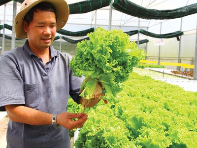 EU là cánh cửa đưa nông sản Việt vươn ra thị trường toàn cầu.