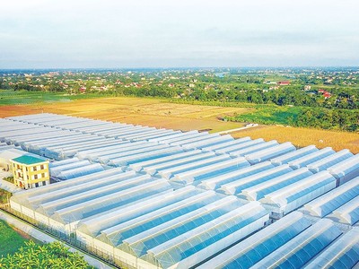 PAN muốn tăng sở hữu tại Thực phẩm Sao Ta (FMC)