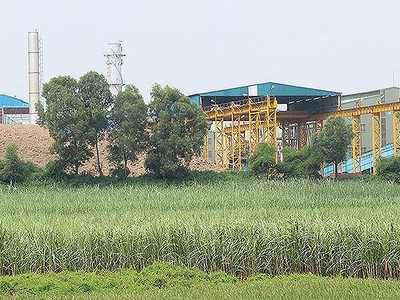 Mía đường Lam Sơn (LSS): Bất chấp thất bại, đặt kế hoạch kinh doanh tham vọng 