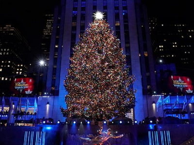 Chiêm ngưỡng những cây thông Noel độc, đẹp trên thế giới