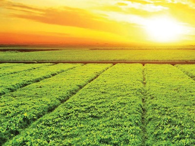 Trông đợi TTCK giải cơn “khát” vốn  cho phát triển xanh