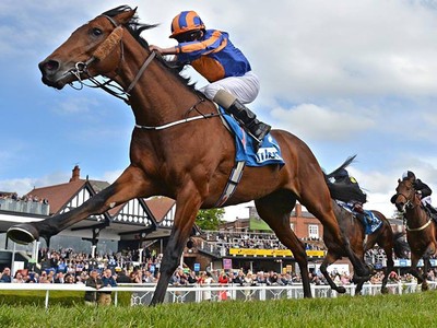 Trường đua ngựa sẽ gắn liền với hoạt động đặt cược thể thao (Ảnh minh hoạ).