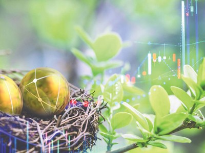 Phát triển bền vững: Để những câu chuyện thú vị được kể