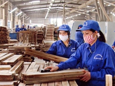 Tham vọng của “người hùng” Mai Hữu Tín tại Gỗ Trường Thành