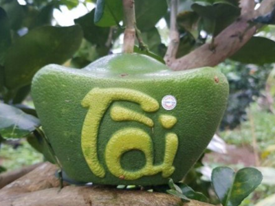 Những trái cây chưng Tết hút khách