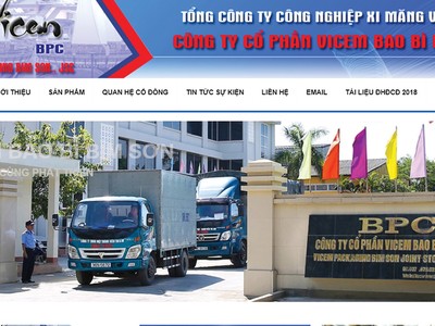 Vicem Bao bì Bỉm Sơn (BPC): Lợi nhuận quý IV/2018 suy giảm mạnh