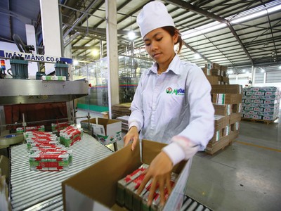 Nhà đầu tư vẫn chờ đợi GTNfoods biến tiềm năng thành lợi nhuận tại các công ty thành viên.