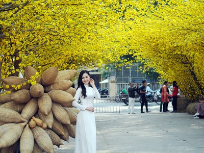 Các cô gái trẻ trong tà áo dài truyền thống, tạo dáng bên gốc mai vàng khoe sắc trong khung cảnh Tết xưa.