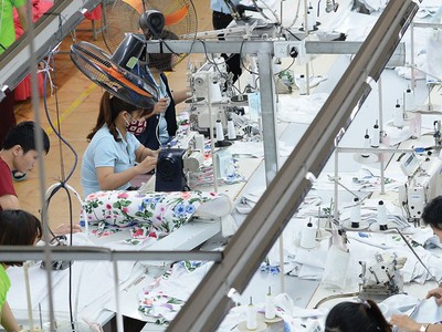 Doanh nghiệp dệt may thường xuyên phải đối mặt với bất cập trong thủ tục kiểm tra chuyên ngành.