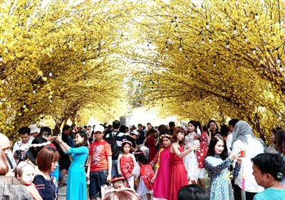 Các điểm đến trong nước hút khách dịp Tết Nguyên đán 2019. Ảnh: Phong Vinh.