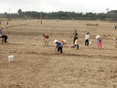 Kinh tế tự cung, tự cấp ở Việt Nam hiện chiếm tỷ trọng khá lớn. Ảnh: Đức Thanh.