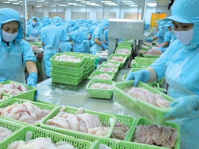Xuất khẩu thủy sản quý I/2023 giảm 27%, Vasep kiến nghị 7 vấn đề lớn