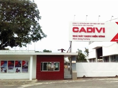 Cadivi (CAV) lãi trên 530 tỷ đồng năm 2018