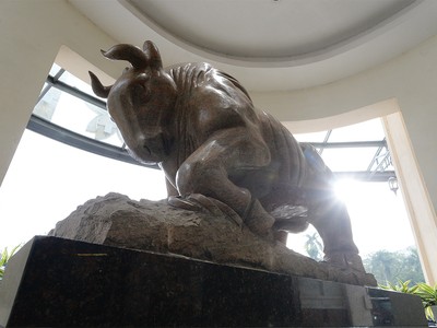 Mở kênh thông tin về thị trường trái phiếu doanh nghiệp