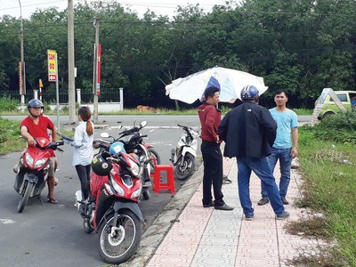 Các cò đất hoạt động tấp nập.