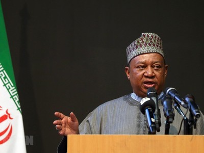 Tổng Thư ký OPEC Mohammed Barkindo tại Triển lãm quốc tế về hóa dầu và tinh lọc dầu mỏ, khí đốt tại Tehran, Iran ngày 1/5/2019. (Ảnh: THX/TTXVN).