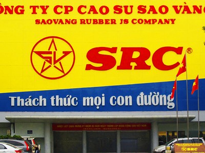 Thoái vốn Cao su Sao Vàng (SRC): Sức hút của “đất vàng”