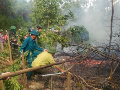 Nhà chức trách dập lửa tại đám cháy rừng ở huyện Lộc Hà. Ảnh: Đ.H.