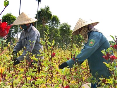 [Infographics] Việt Nam tăng 3 bậc trong báo cáo phát triển bền vững